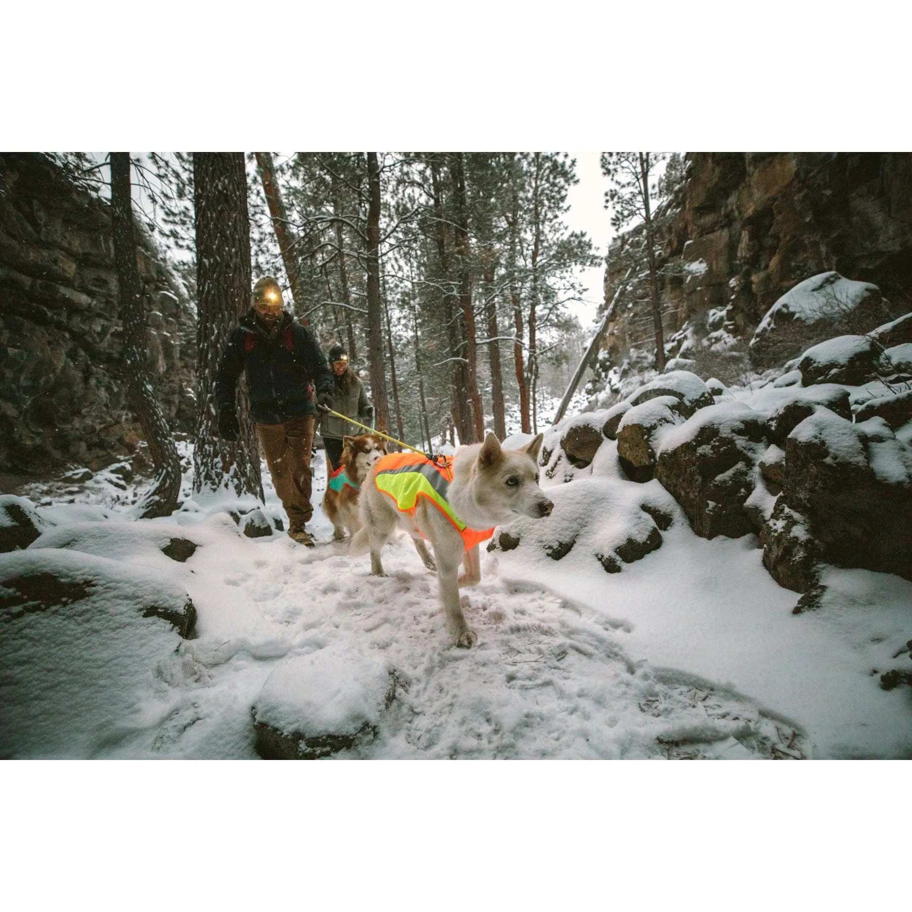 Ruffwear Lumenglow High-Vis Dog Jacket
