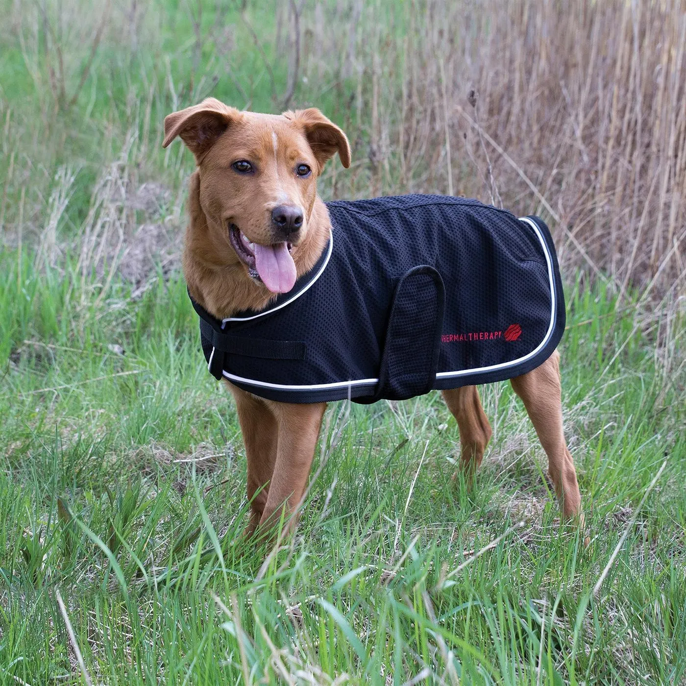 Shedrow K9 - Thermal Therapy Mesh Dog Coat Xlarge (EXTRA 50% OFF AT CHECKOUT)