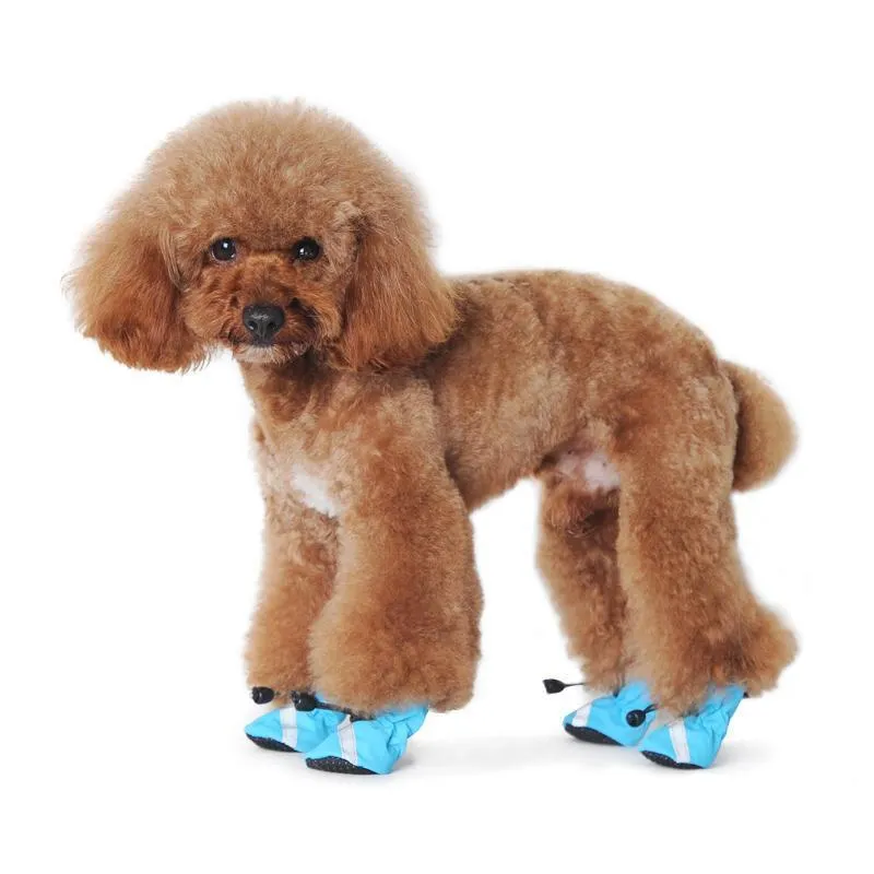 Slip On Paws Dog Booties Blue