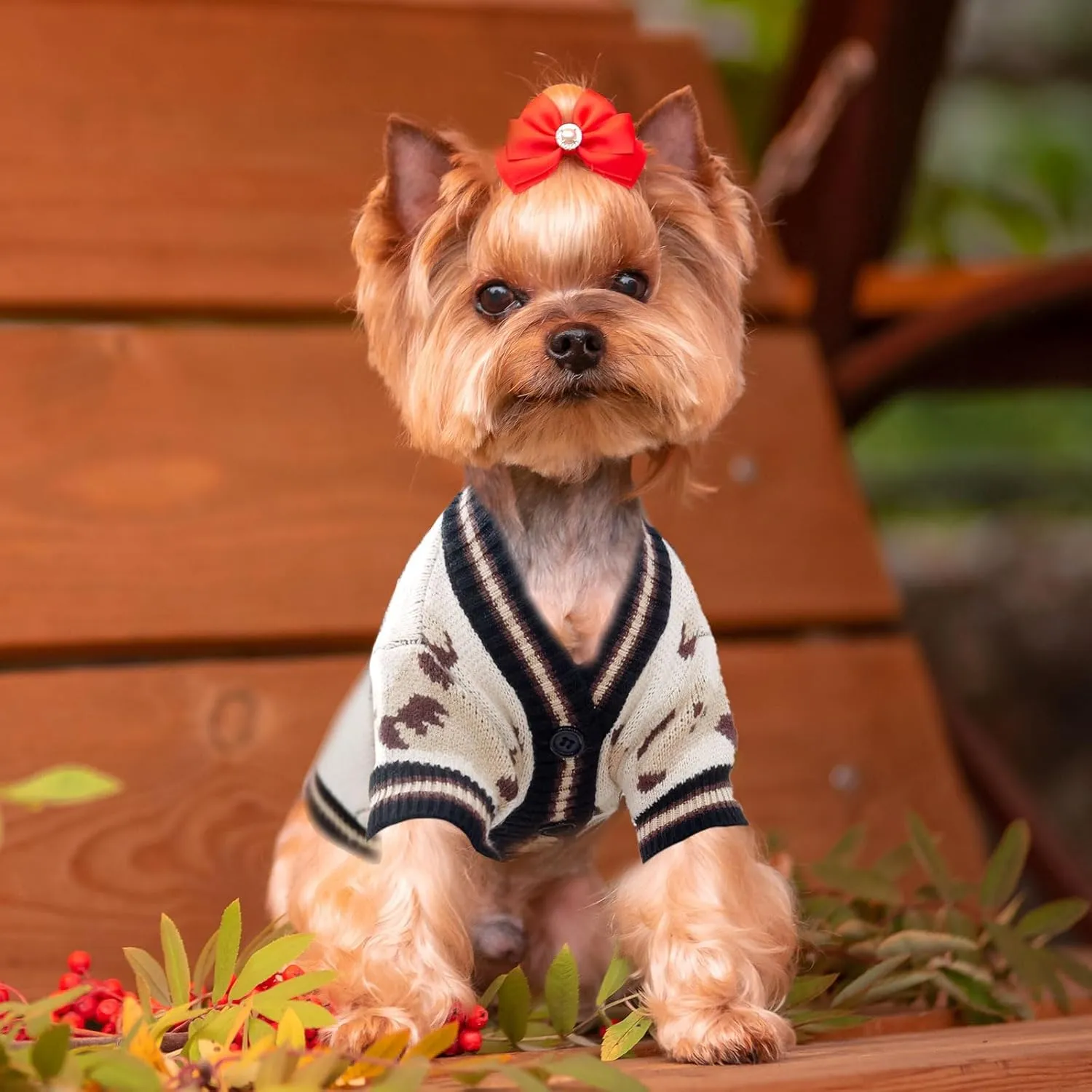Small Dog Sweaters Cute Bear Dog Cardigans Clothes for Small Medium Dogs Boy Girl Puppy Cat Knitting Cardigan Outfits Dogs Winter Coats Warm Pet Doggy Clothes Soft Knitwear Apparel (Beige,S)