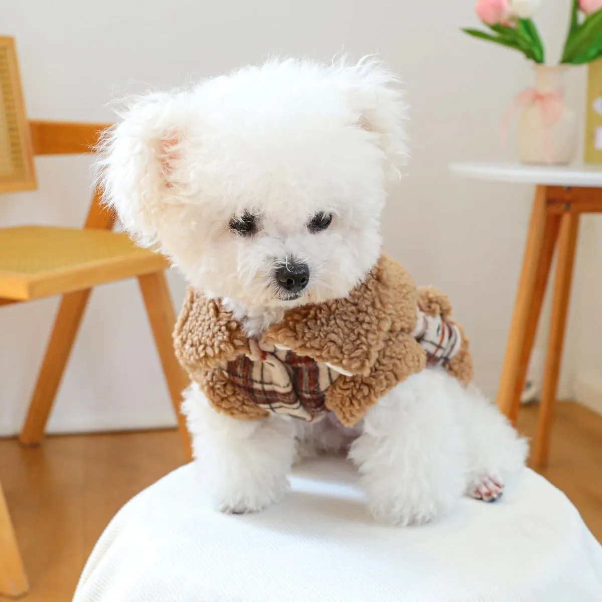 Small Dog Winter Denim Jacket Fleece Lined Puppy Cute Jean Clothes Cold Weather Dog Cozy Warm Coats Chihuahua Yorkie Stylish Clothes Christmas Holiday Birthday Dog Outfits