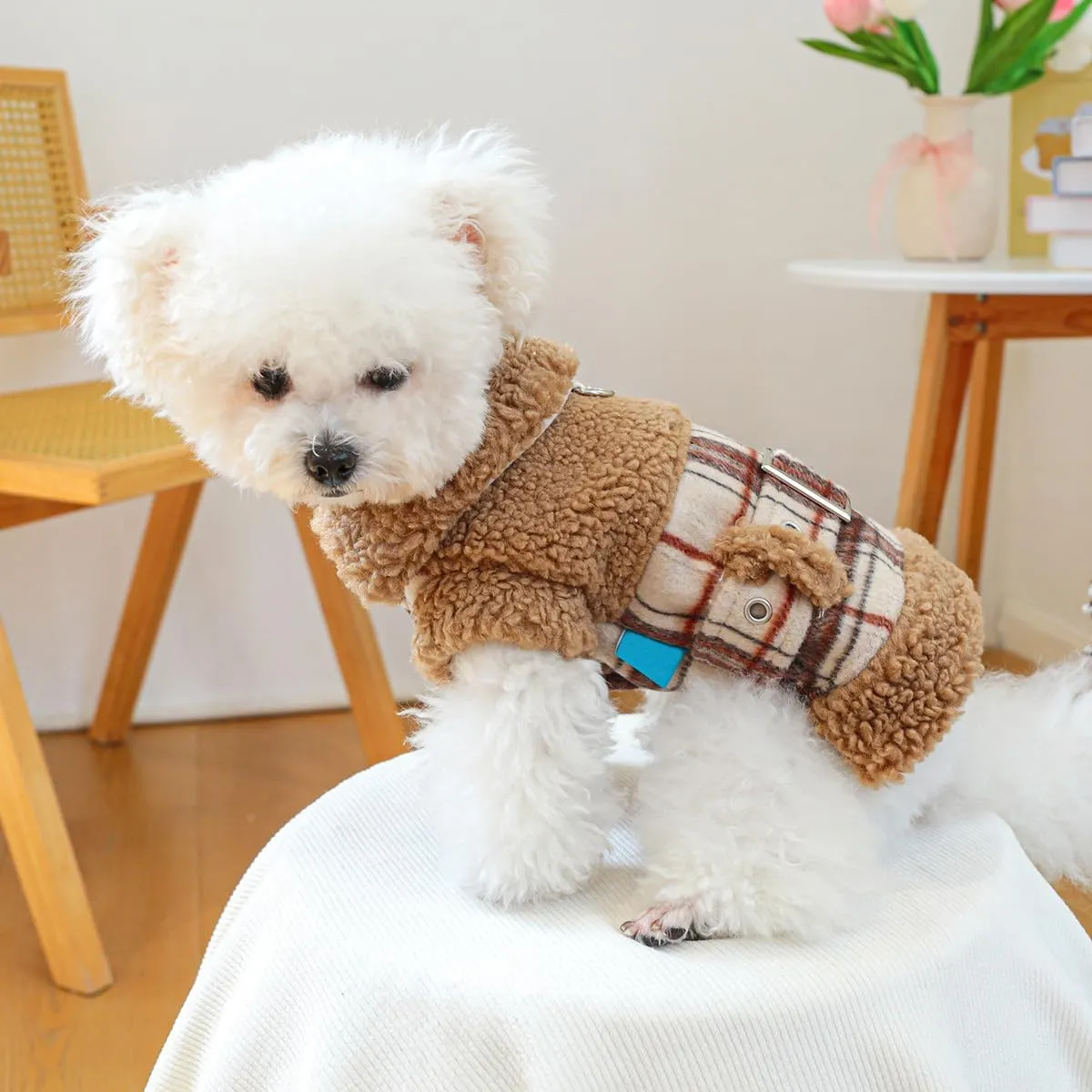 Small Dog Winter Denim Jacket Fleece Lined Puppy Cute Jean Clothes Cold Weather Dog Cozy Warm Coats Chihuahua Yorkie Stylish Clothes Christmas Holiday Birthday Dog Outfits