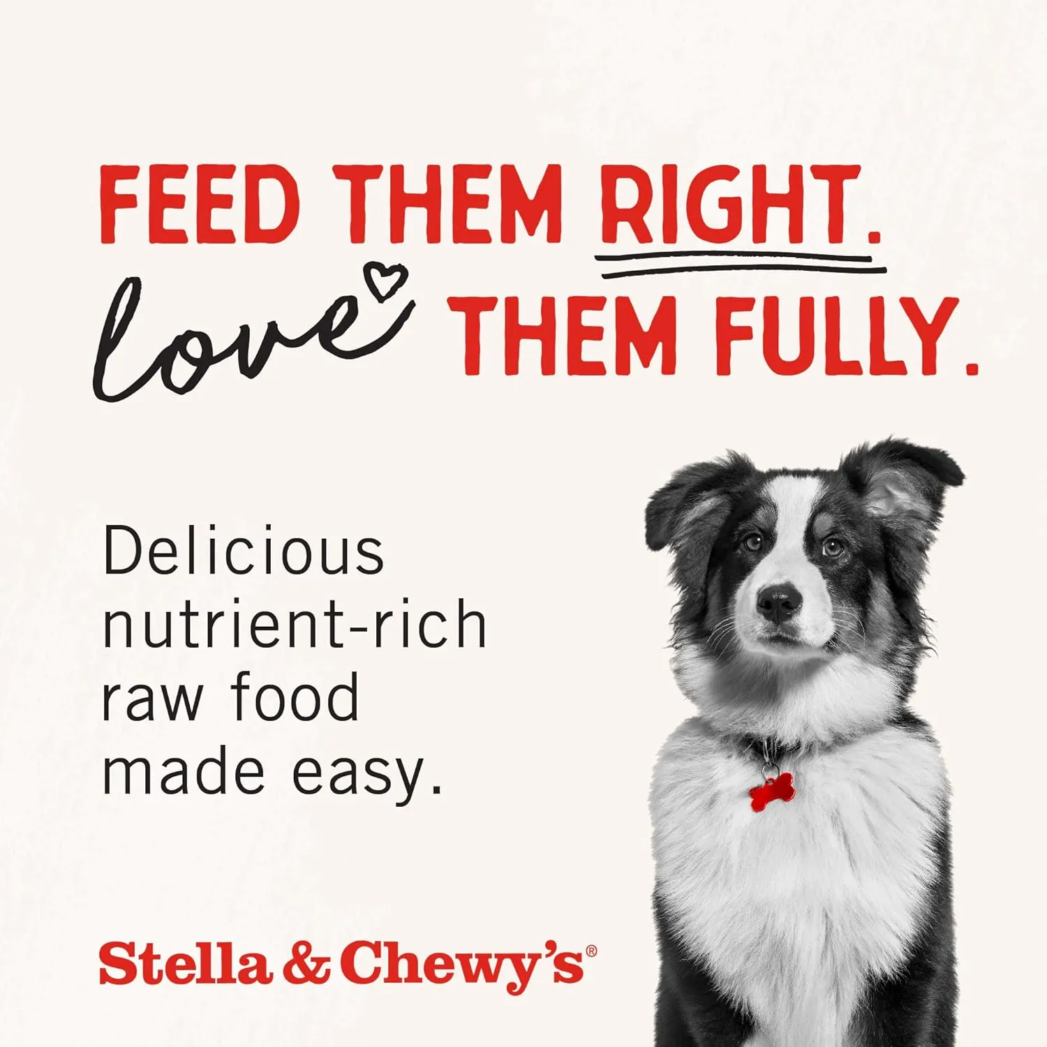 Stella & Chewy's Freeze-Dried Raw Lamb Meal Mixers- Dog Food Topper and Mixer - Made with 95% Grass-Fed Lamb, Organs & Bone - Perfect for Picky Eaters - Grain-Free - 18 oz