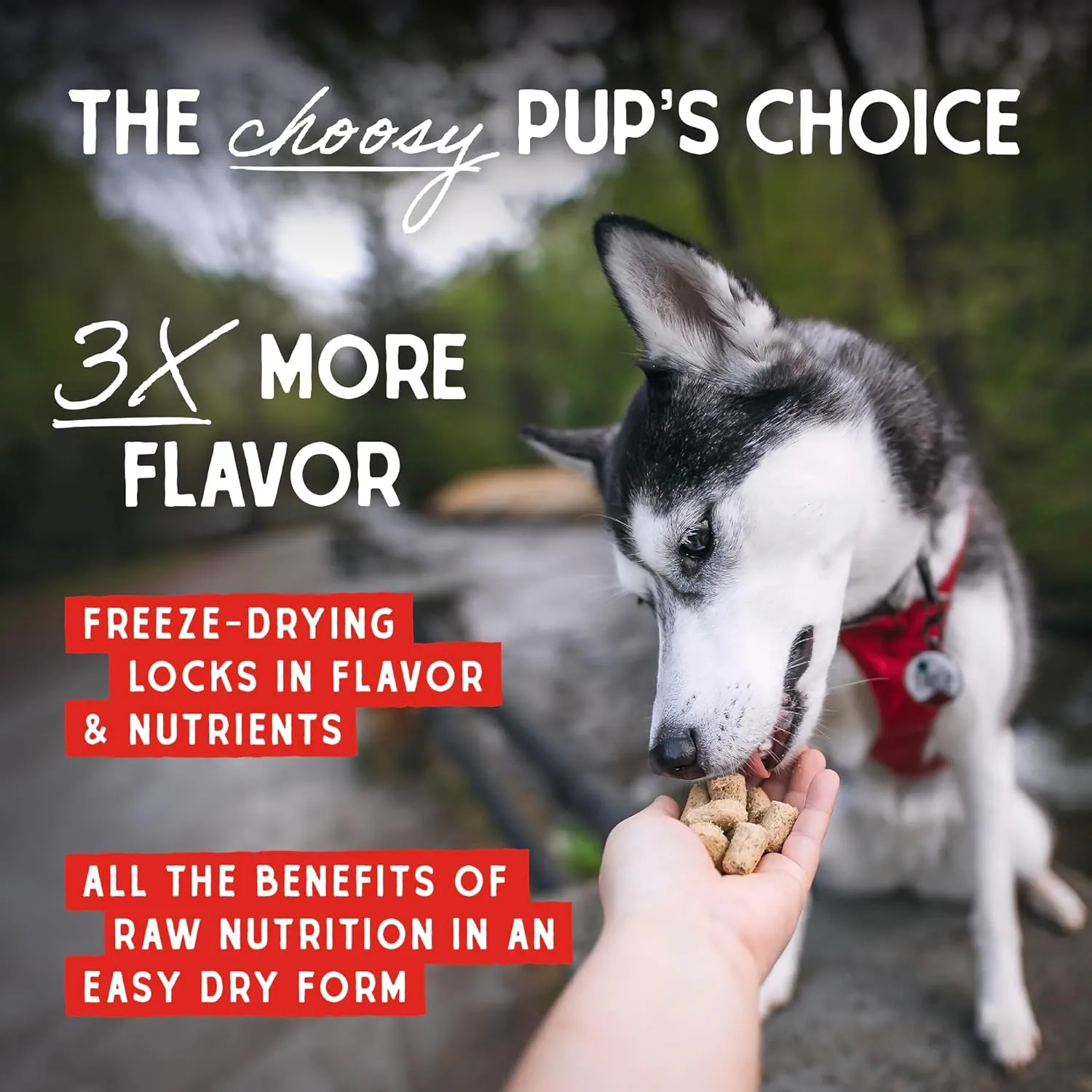 Stella & Chewy's Freeze-Dried Raw Lamb Meal Mixers- Dog Food Topper and Mixer - Made with 95% Grass-Fed Lamb, Organs & Bone - Perfect for Picky Eaters - Grain-Free - 18 oz
