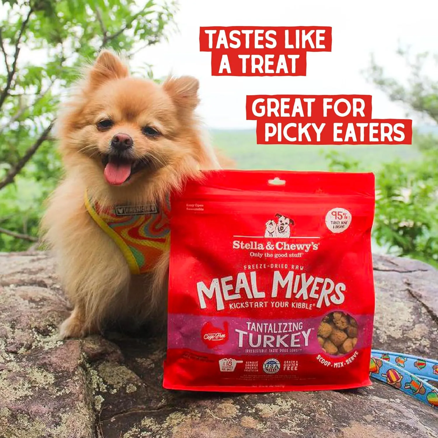 Stella & Chewy's Freeze-Dried Raw Tantalizing Turkey Meal Mixers- Dog Food Topper and Mixer - Made with 95% Cage-Free Turkey, Organs & Bone - Perfect for Picky Eaters - Grain-Free - 18 oz