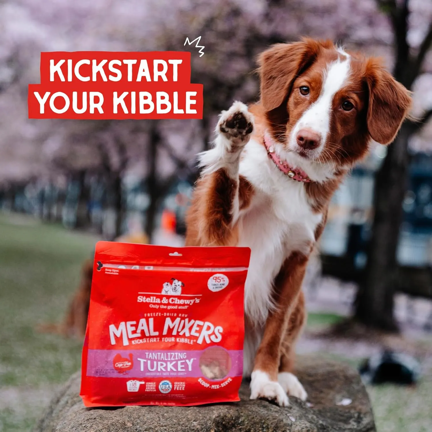 Stella & Chewy's Freeze-Dried Raw Tantalizing Turkey Meal Mixers- Dog Food Topper and Mixer - Made with 95% Cage-Free Turkey, Organs & Bone - Perfect for Picky Eaters - Grain-Free - 18 oz