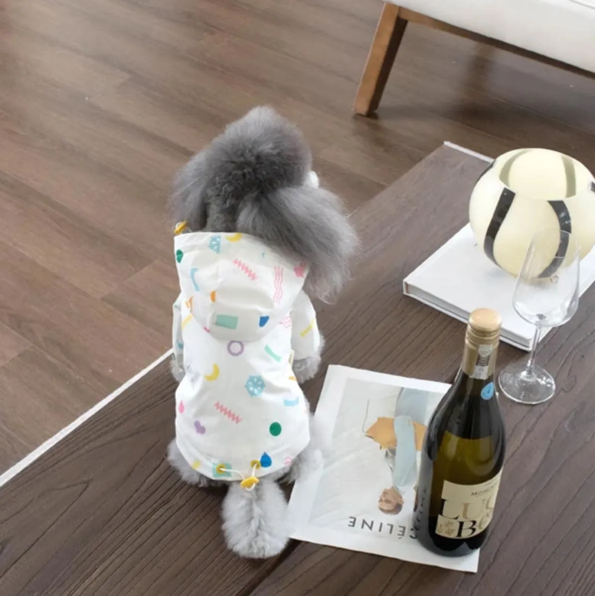 StormPaw Dog Raincoat