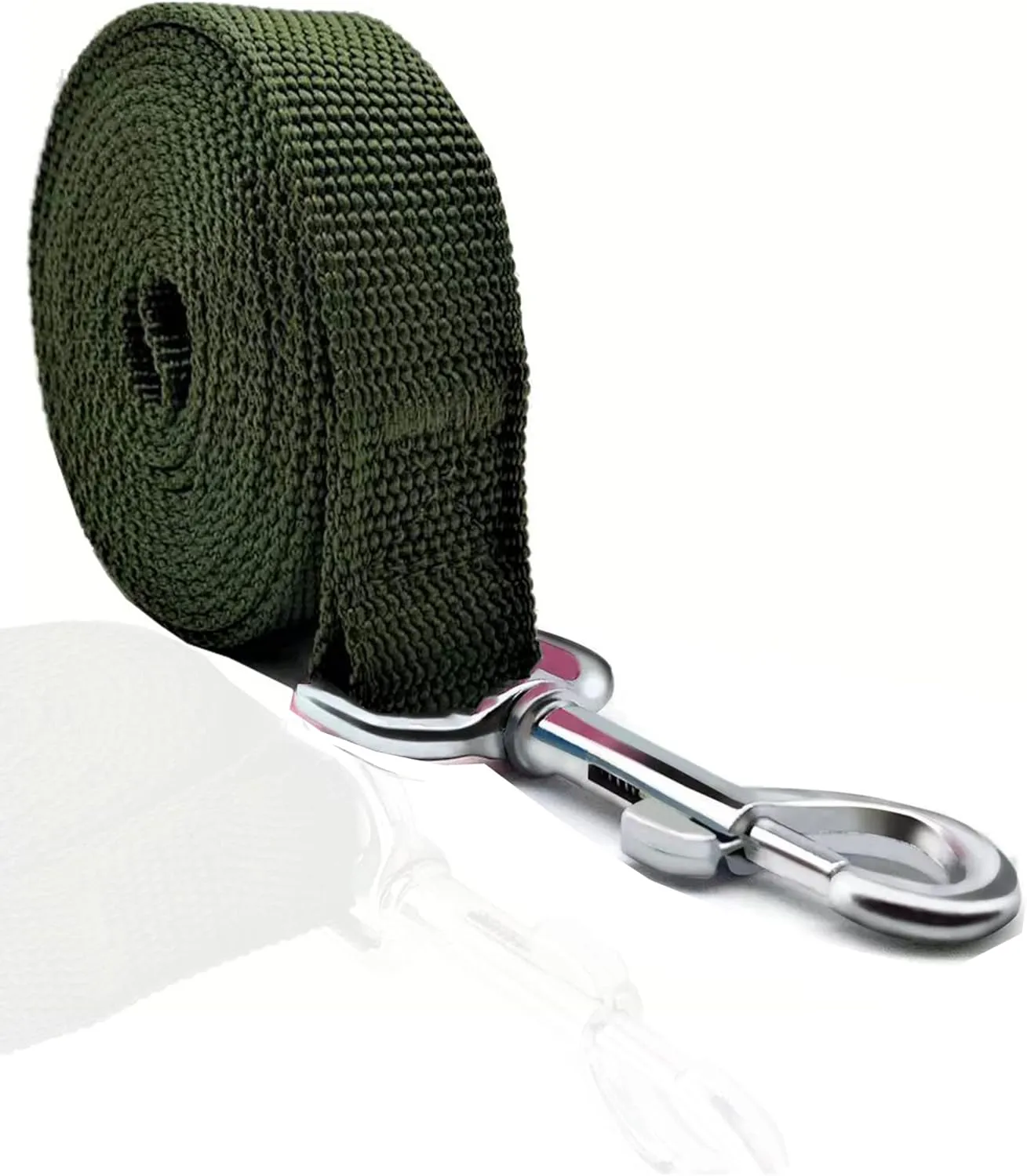 TAIAN 4FT/5FT/6FT Strong Dog Leash, Nylon Dog Leashes for Small Medium Large Dogs (3/4 in x 5 ft, Green)