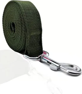 TAIAN 4FT/5FT/6FT Strong Dog Leash, Nylon Dog Leashes for Small Medium Large Dogs (3/4 in x 5 ft, Green)