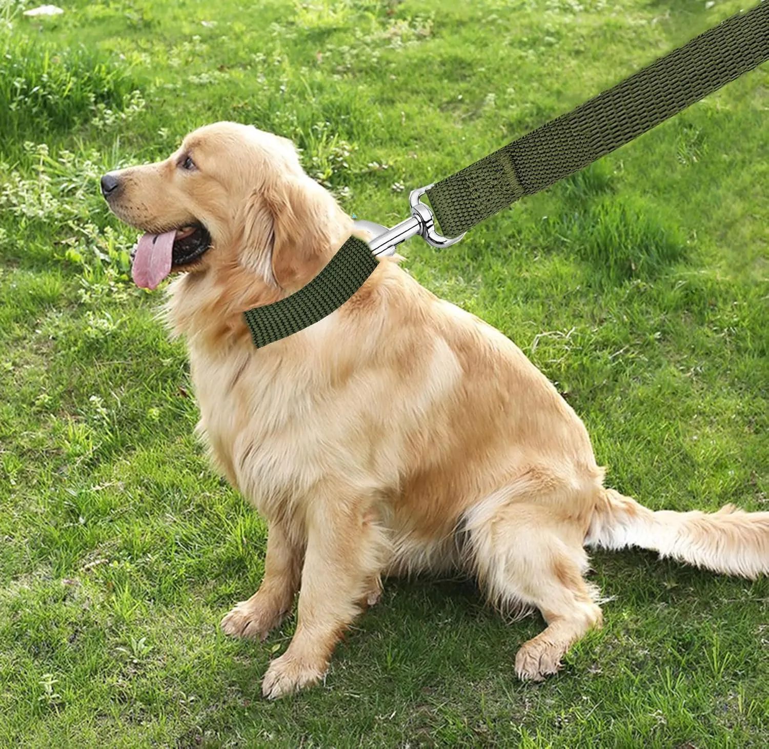 TAIAN 4FT/5FT/6FT Strong Dog Leash, Nylon Dog Leashes for Small Medium Large Dogs (3/4 in x 5 ft, Green)