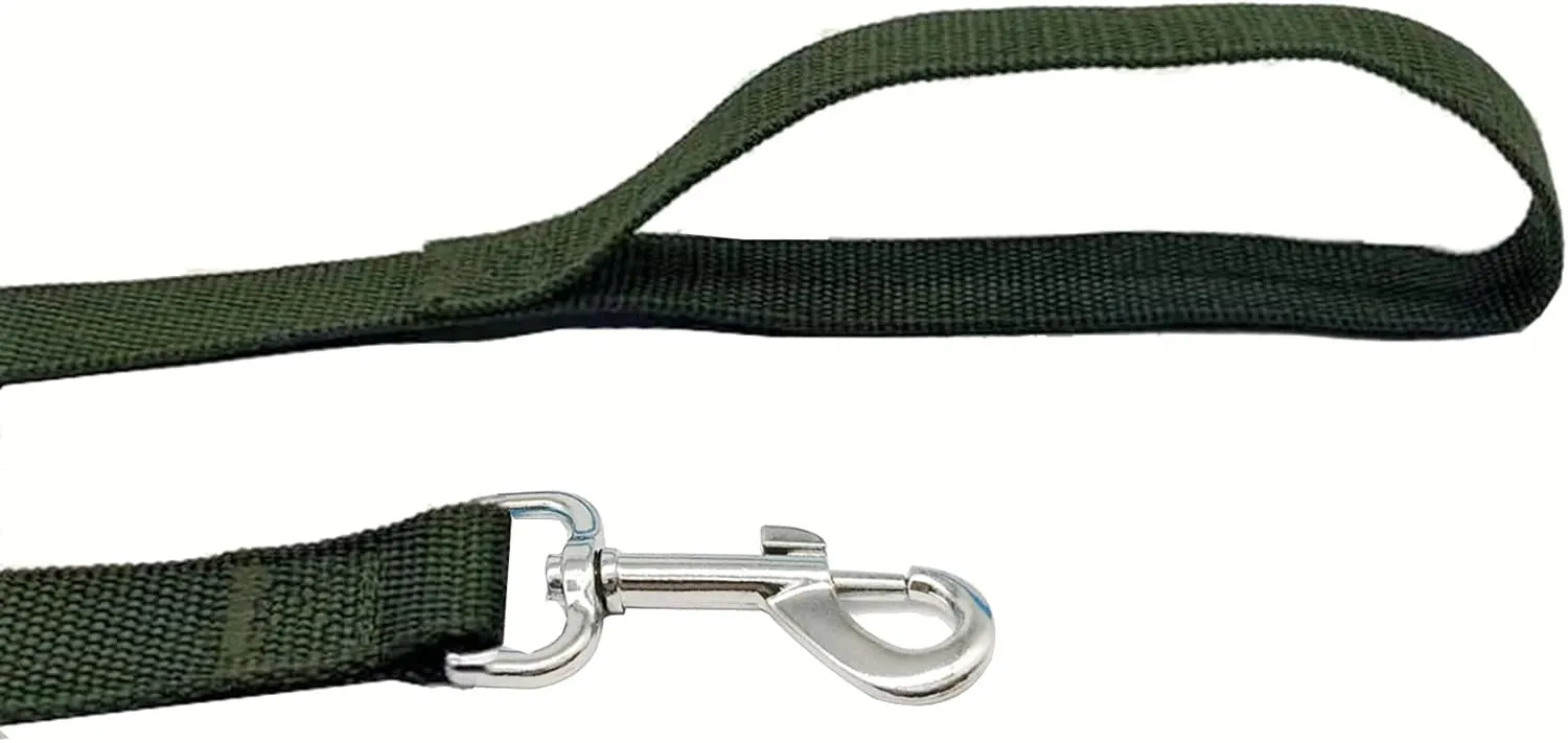 TAIAN 4FT/5FT/6FT Strong Dog Leash, Nylon Dog Leashes for Small Medium Large Dogs (3/4 in x 5 ft, Green)