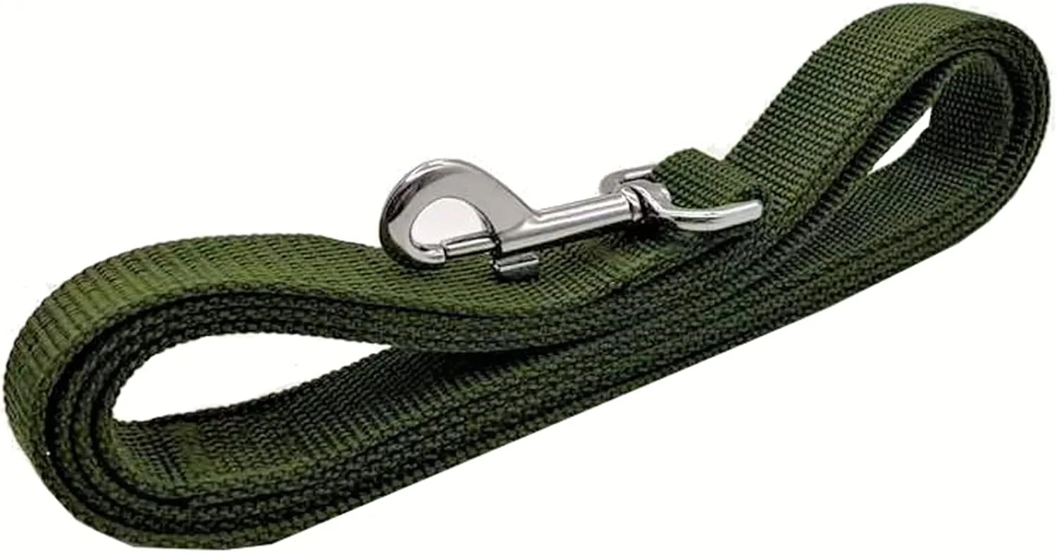 TAIAN 4FT/5FT/6FT Strong Dog Leash, Nylon Dog Leashes for Small Medium Large Dogs (3/4 in x 5 ft, Green)