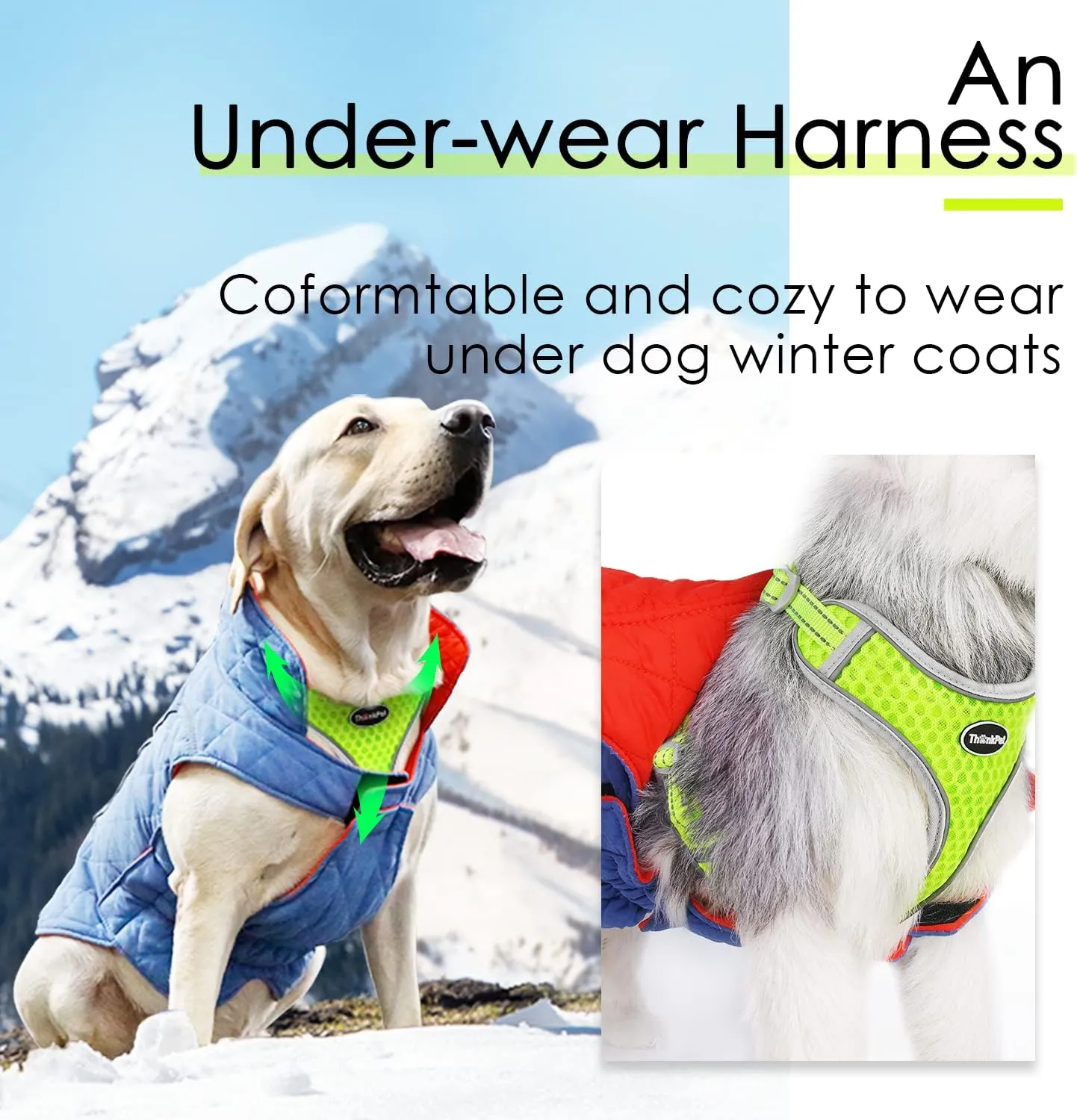 ThinkPet Reflective Breathable Soft Air Mesh No Pull Puppy Choke Free Over Head Vest Harness for Puppy Small Medium Dogs and Cats Green Large