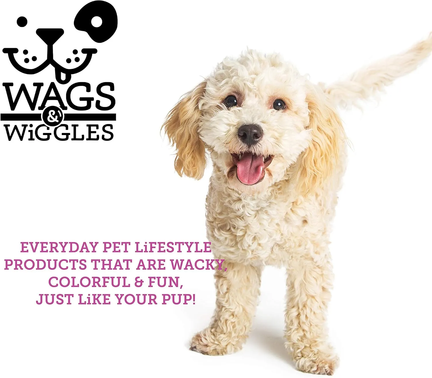 Wags & Wiggles Refresh Dog Deodorizing Spray in Zesty Grapefruit | Long Lasting Dog Grooming Deodorizer Spray | Easy to Use Deodorizing Spray for Dogs to Combat Smelly Dog Odors, 12 Ounces