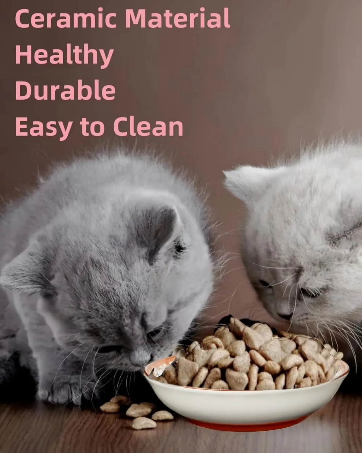 Whisker Fatigue Cat Bowl  5.5 in Ceramic Cat Bowls, Shallow Cat Food Dish, Cute Flat Cat Bowl, Small Wide Cat Plates for Indoor Cats with Silicone Bottom, Non-Slip and Quiet