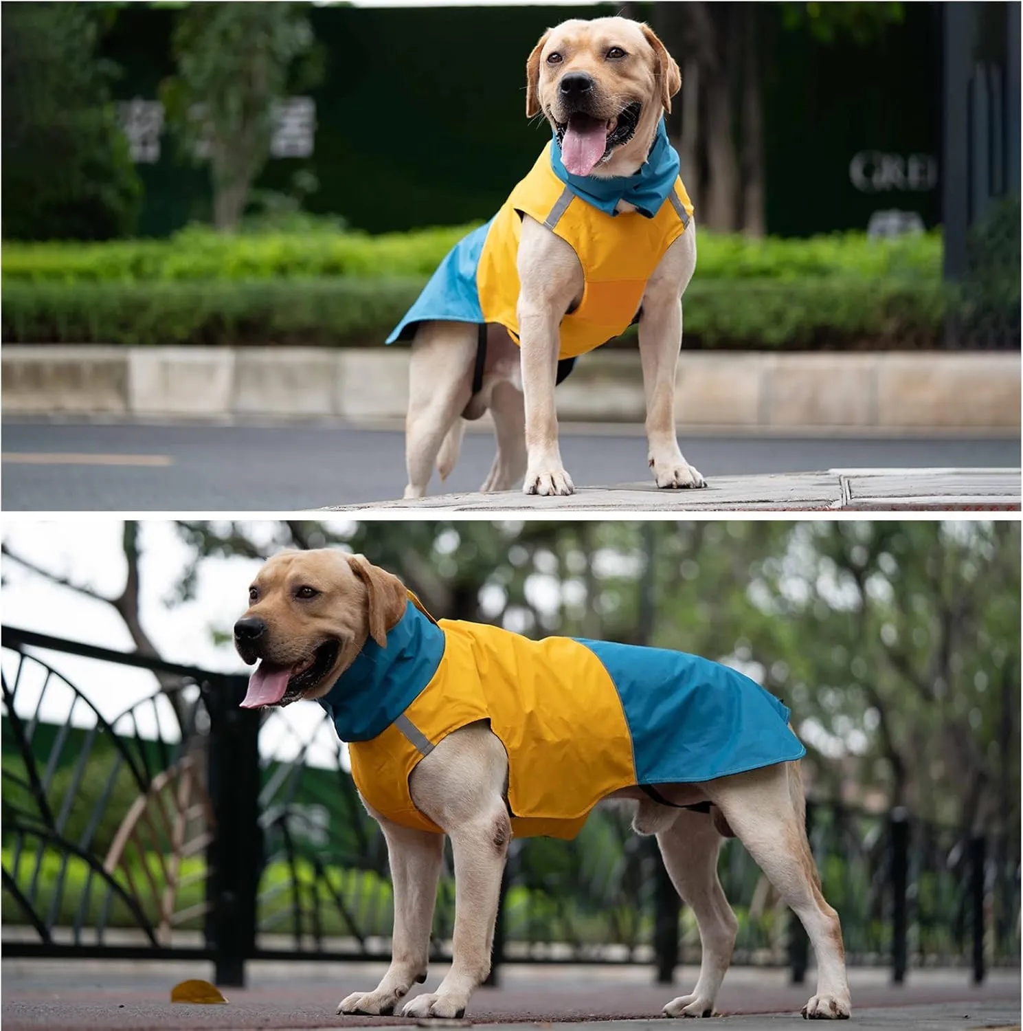 XXXL Warm Dog Coats - Windproof Winter Outdoor Jackets, Cold Weather Waterproof Raincoats With Leash Hole, Blue Yellow